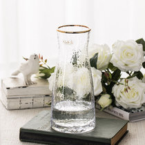 日系锤纹小透明玻璃花瓶简约创意水培插花花器清新客厅干花瓶摆件