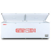 星星（XINGX）BD/BC-1098GE 1098升 冷藏冷冻冰柜 单温卧式冷柜 大容量商用保鲜柜 超市节能冰箱