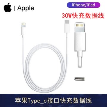 Apple苹果30W原装充电器iPhone11 Pro/iPad手机30W快充电头 数据线 USB-C电源适配器(数据线1米)
