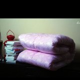 520家纺 双人床上用品短毛绒加厚被子被芯 凡以柔羽丝绒被(粉色)