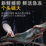 IUV【IUV爆款】野生海鲈鱼 3条（1条1.4斤左右） 新鲜食材，健康美味，鲜亮色泽，肥美鲜香
