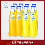北冰洋 橙桔双拼汽水248ml*8瓶 老北京玻璃瓶汽水 碳酸饮料 果味汽水 组合装