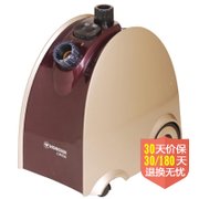 【七折疯抢！】红心（Hongxin）挂烫机RH2039（棕色）（1600W功率，二档，可提供适当蒸汽量）