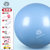 瑜伽球儿童婴儿感统训练球宝宝早教触觉按摩大龙球加厚防爆平衡球(75cm(身高165-175cm) 【防爆球】蓝色)