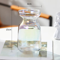 北欧创意ins风透明玻璃小花瓶水培干鲜花插花装饰品客厅家用摆件(中等)