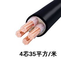 率龙电线电缆SL48国标电缆电线YJV4*35（单位：米）(默认)
