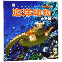 海洋动物大百科(彩图注音版)/小眼睛看世界