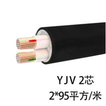 率龙电线电缆SL24国标电缆电线YJV2*95 （单位：米）(默认)