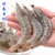 青岛黄海鲜活虾水产新鲜海虾海鲜深海大虾冰虾基围虾冻虾(三斤)
