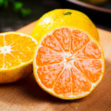 宜昌蜜桔 青皮早熟蜜橘当季桔子新鲜水果(净重5斤)