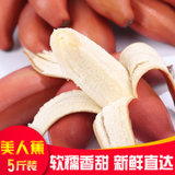 福建红美人香蕉5斤包邮【2500g】新鲜红皮香蕉软糯香甜孕妇水果