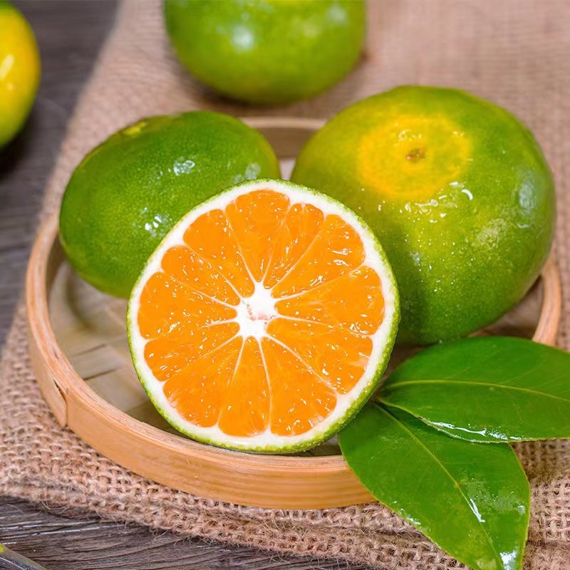 宜昌蜜桔黄皮蜜桔酸甜橘子高山蜜桔现摘现发薄皮酸甜可口9斤小果超高