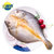 三都港宁德小黄花鱼 鱼鲞450g/3条装(已调味)海鲜水产 生鲜 国美超市甄选