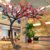 仿真梅花树舞台道具假树客厅酒店腊梅装饰挂壁花艺室内许愿树造景(【延伸型】3米高*3米宽)