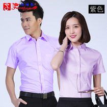 2017新款男女短袖工作服衬衫公司团体销售经理职业装衬衫可定制LOGO特殊身材定制加大码(紫色 3XL/43男款)