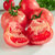 普罗旺斯西红柿5斤  新鲜水果海阳自然熟山东生吃沙瓤大番茄