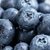 精品新鲜蓝莓鲜果 浆果 蓝莓当季时令应季水果孕妇宝宝新鲜水果 精品大果125g*4盒(精品果*4盒)第3张高清大图