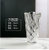 花瓶摆件客厅插花北欧创意简约轻奢家居水晶透明玻璃装饰花器qaz(25MM流光亚透明)