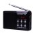 圣宝（Singbox）SV935 插卡收音小音箱(黑色)