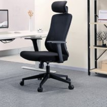 云艳YY-LCL756 人体工学椅电脑椅家用久坐办公椅子可升降转椅休闲椅座椅靠背椅(默认 默认)