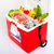 日本爱丽思IRIS 家用便携保温箱冷藏箱冰包冰桶15升 CL-15(红/白)