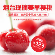 山东省烟台市原产地新鲜水果美早车厘子樱桃直径26-28mm（8-10克）3斤 顺丰包邮(红色 3斤装)