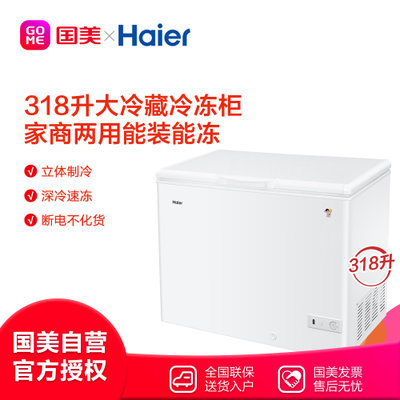 海尔 (Haier) BC/BD-318HD 318升 商用冰箱 卧式大冷冻柜 白色