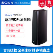 Sony 索尼SS-AR1 高保真HIFI音箱落地式无源家庭客厅电视音响 单台一个(黑色)(黑色)