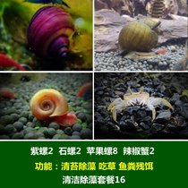 马来螺苹果螺观赏螺活体除藻螺鱼缸清洁吃鱼屎工具水族淡水螺套餐(杏色 默认版本)