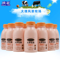 欧亚牛奶大理牧场低温酸奶熟酸奶酸牛奶243g*12瓶酸奶(自定义 自定义)