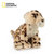 国家地理国家地理NG猫科动物系列 美洲豹 15cm毛绒玩具仿真动物 国美超市甄选