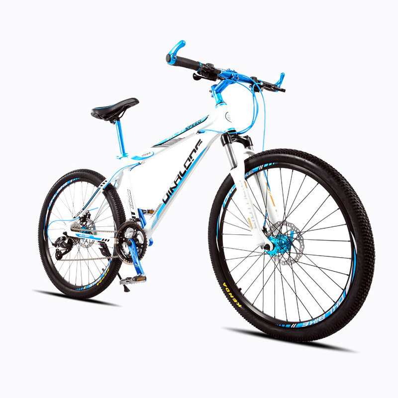 辐条轮s21-01自行车整车