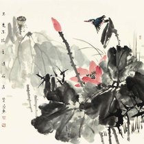 张延东 国画 花鸟画 水墨写意 步云堂主人 荷花 斗方