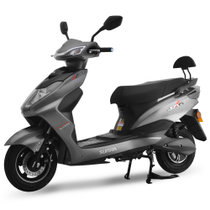 新日电动车H3 MQS-TB20/0800/12DGK4亮光苏格兰灰